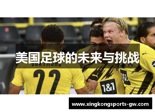 美国足球的未来与挑战
